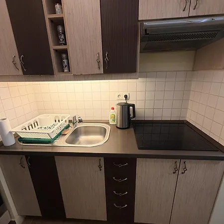 Apartment Peaceful Garden In - Monthly Budapest